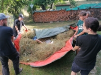 Vogelwiese Eisbaeren 2023